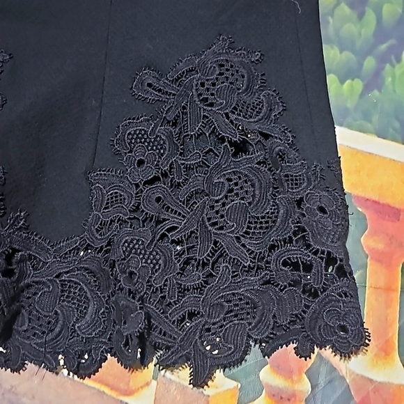 Rebecca Taylor Black Lace Embroidery Skirt Size 2 - Picture 3 of 7
